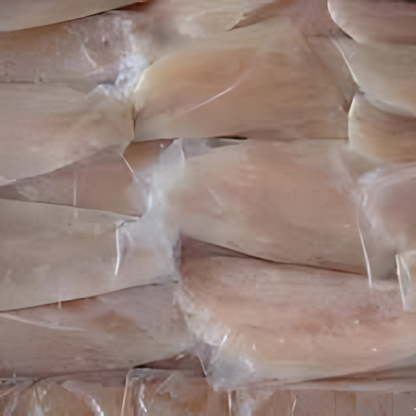 Barramundi - Asian Seabass - 10 pieces